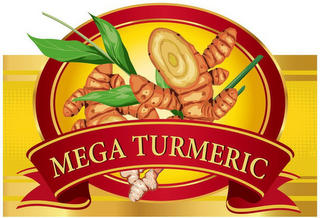 MEGA TURMERIC logo