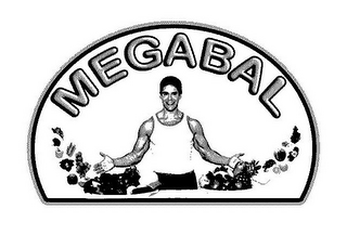 MEGABAL logo
