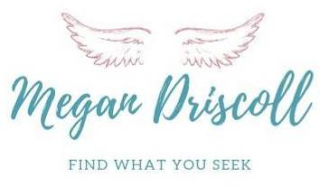MEGAN DRISCOLL FIND WHAT YOU SEEK logo