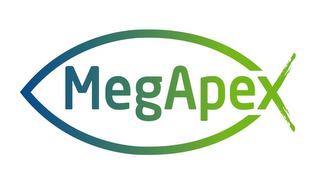 MEGAPEX logo