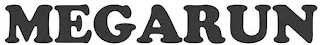 MEGARUN logo