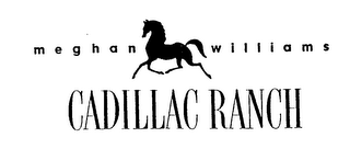 MEGHAN WILLIAMS CADILLAC RANCH logo