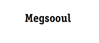 MEGSOOUL logo