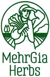 MEHRGIA HERBS logo