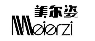MEIERZI logo