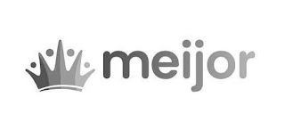 MEIJOR logo