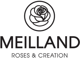 MEILLAND ROSES & CREATION logo