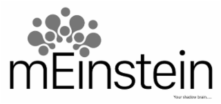 MEINSTEIN YOUR SHADOW BRAIN...... logo