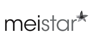 MEISTAR logo