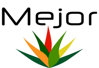 MEJOR