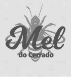 MEL DO CERRADO logo