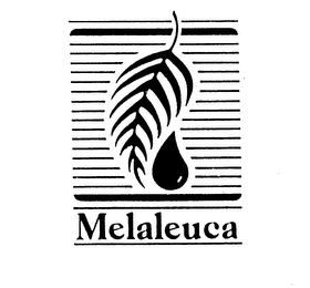 MELALEUCA logo