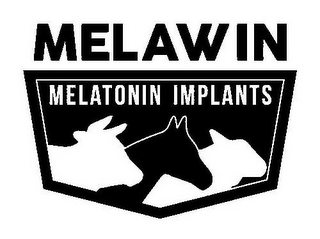 MELAWIN MELATONIN IMPLANTS logo