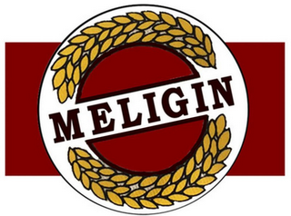 MELIGIN logo