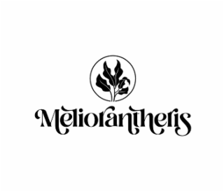 MELIORANTHERIS logo