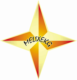 MELIXEKG logo
