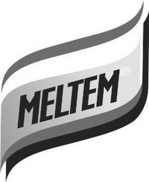MELTEM logo
