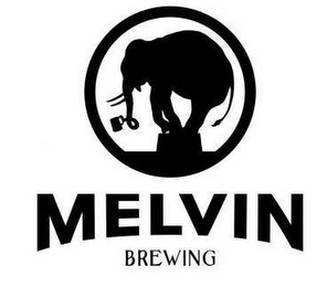 MELVIN logo
