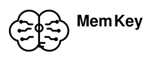 MEM KEY logo