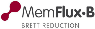 MEMFLUX·B BRETT REDUCTION logo