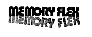MEMORY FLEX logo