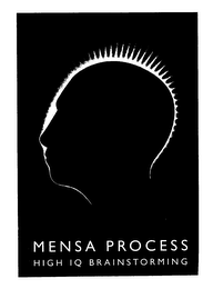 MENSA PROCESS HIGH IQ BRAINSTORMING logo