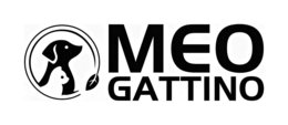 MEO GATTINO