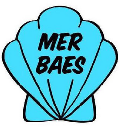 MER BAES logo