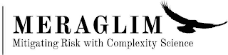 MERAGLIM MITIGATING RISK WITH COMPLEXITY SCIENCE logo