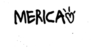 MERICA logo