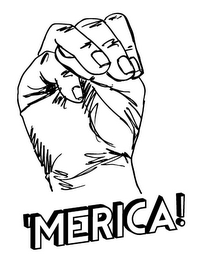 'MERICA! logo