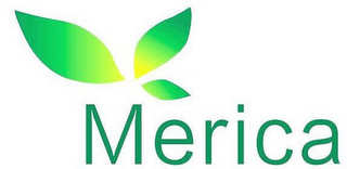 MERICA logo