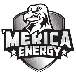 'MERICA ENERGY logo