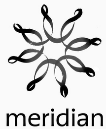MERIDIAN logo