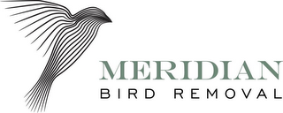MERIDIAN BIRD REMOVAL logo