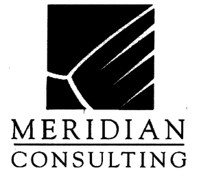MERIDIAN CONSULTING logo