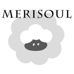 MERISOUL logo