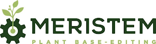 MERISTEM PLANT BASE - EDITING logo