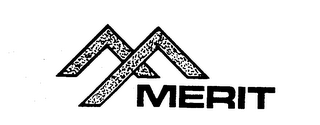MERIT logo