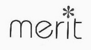 MERIT logo