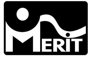 MERIT logo