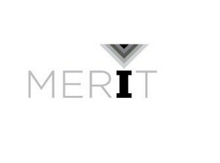 MERIT logo