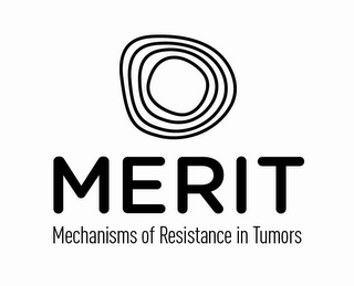 MERIT MECHANISMS OF RESISTANCE IN TUMORS logo