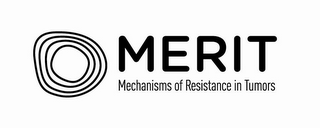 MERIT MECHANISMS OF RESISTANCE IN TUMORS logo