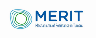 MERIT MECHANISMS OF RESISTANCE IN TUMORS logo