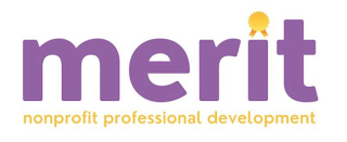 MERIT NONPROFIT PROFESSIONAL DEVELOPMENT logo