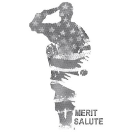 MERIT SALUTE logo