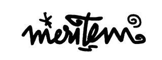 MERITEM logo