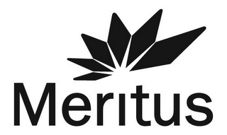 MERITUS logo