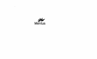 MERITUS logo